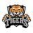 teamtiger